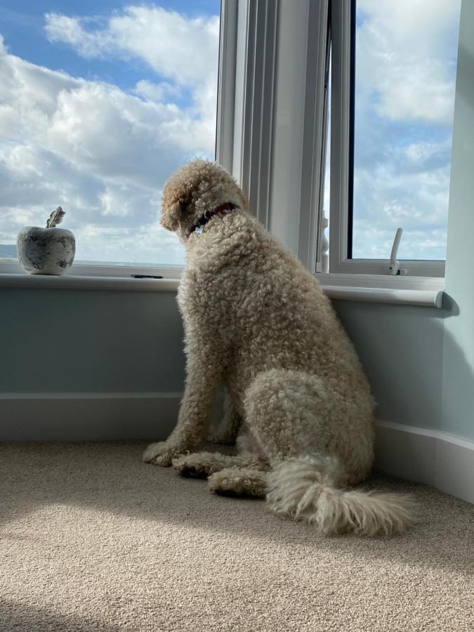 Oceandrive Bed and Breakfast Barmouth Buitenkant foto