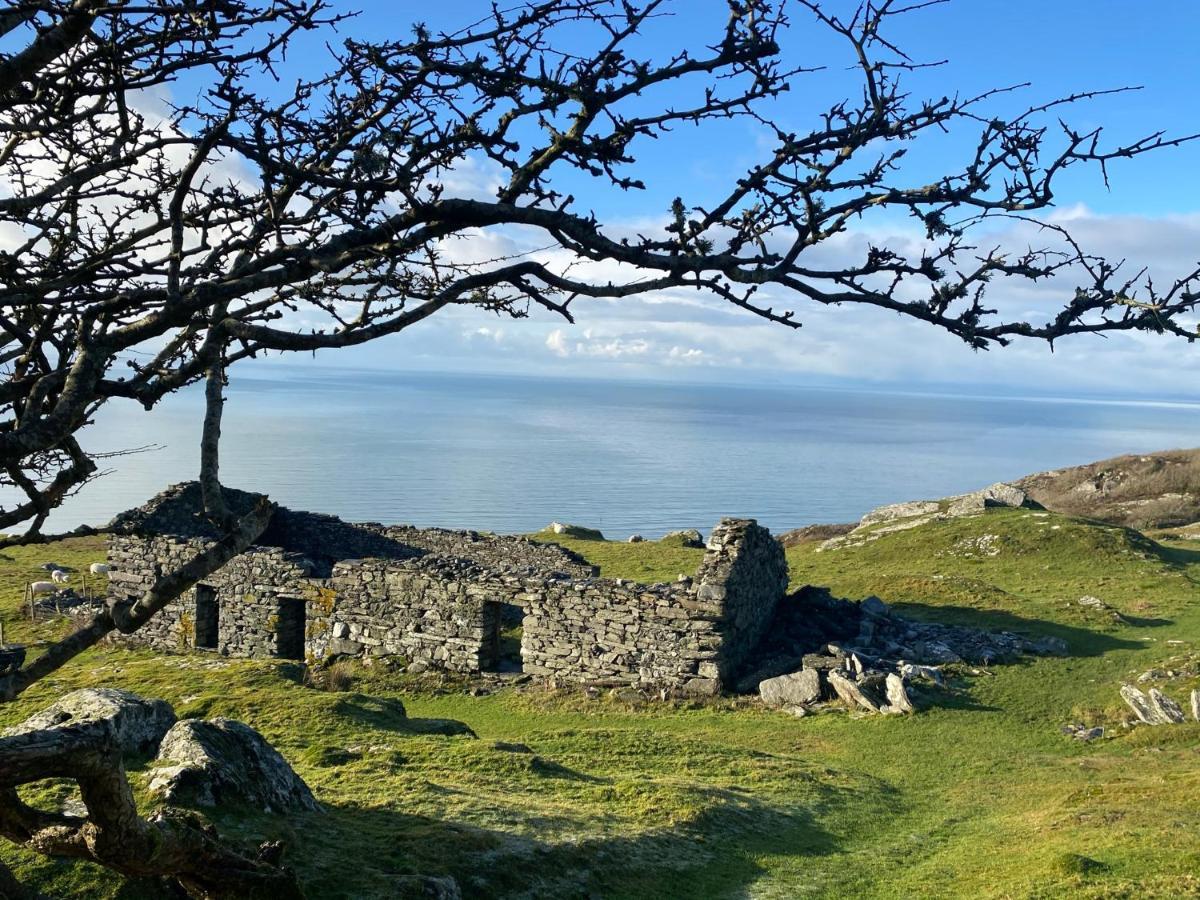 Oceandrive Bed and Breakfast Barmouth Buitenkant foto